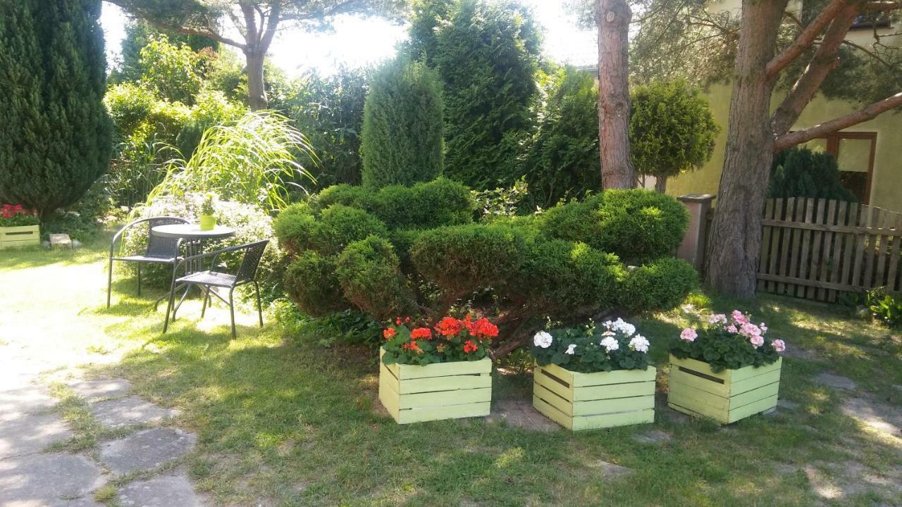 Cichy Zakatek Daire Sianozety Dış mekan fotoğraf